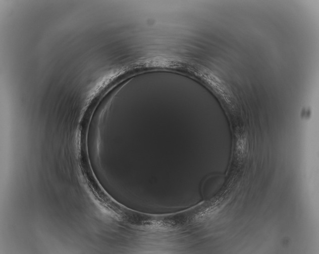 X0000090710678200707271132