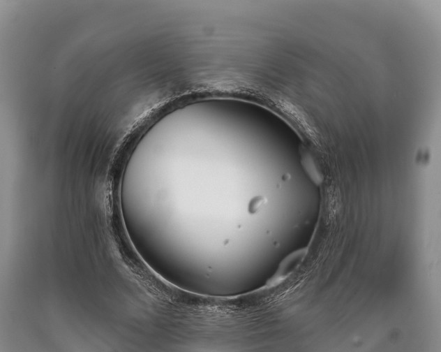 X0000090710680200707271132