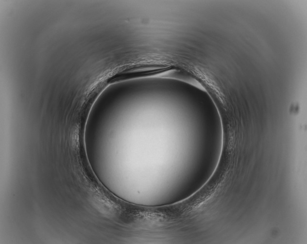 X0000090710681200707271132