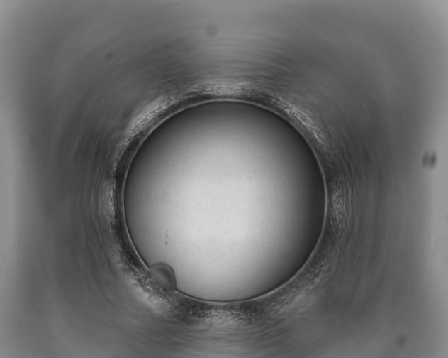 X0000090710682200707271132