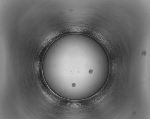 X0000090710683200707271132