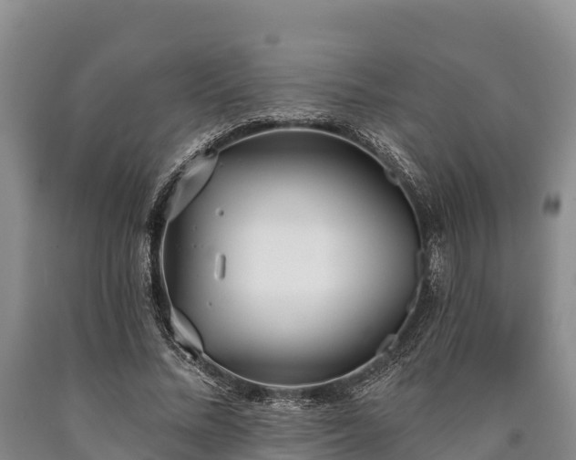 X0000090710684200707271132