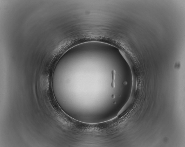 X0000090710685200707271132