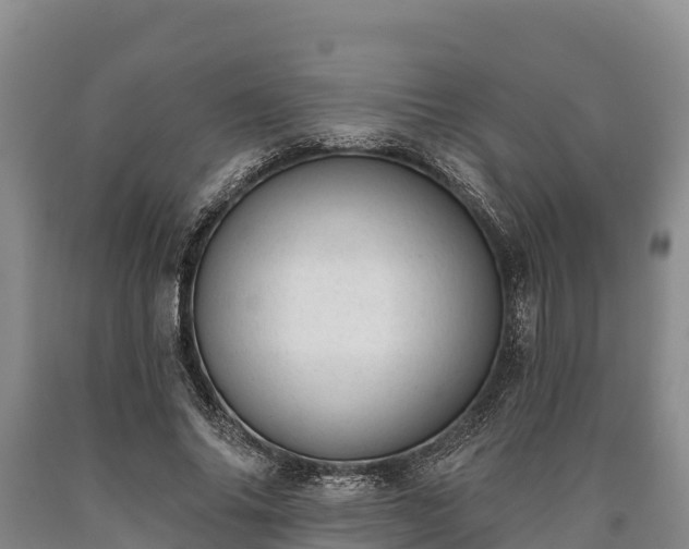 X0000090710686200707271132