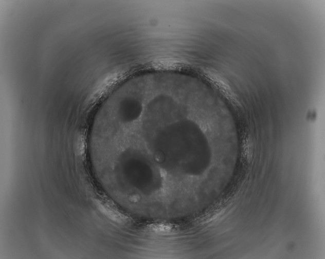 X0000090710687200707271132