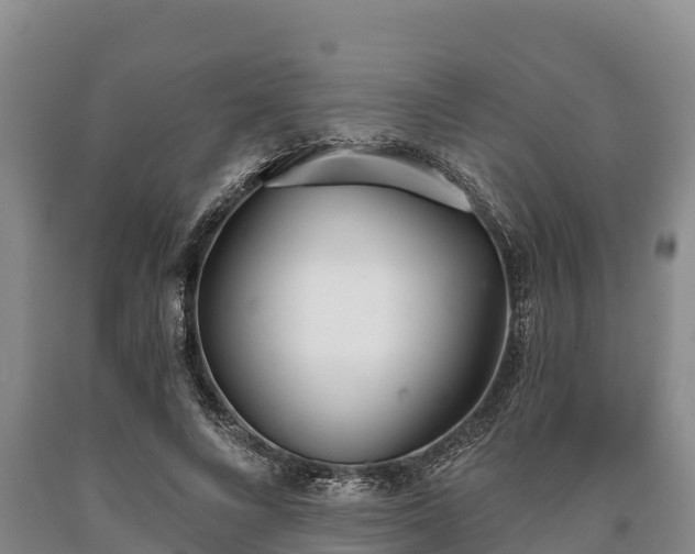 X0000090710688200707271131