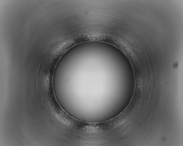 X0000090710690200707271131