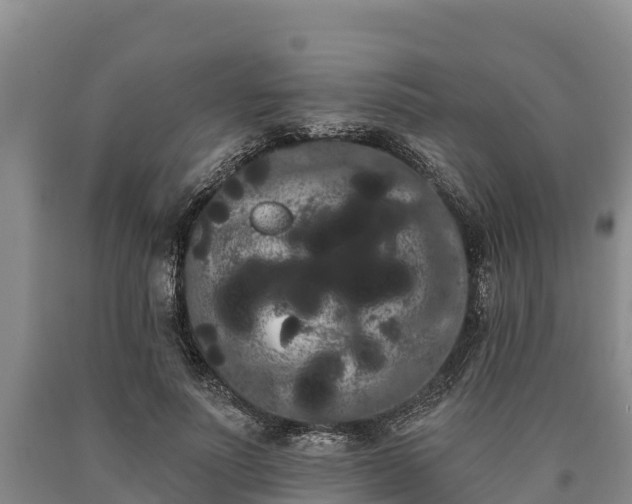 X0000090710691200707271131