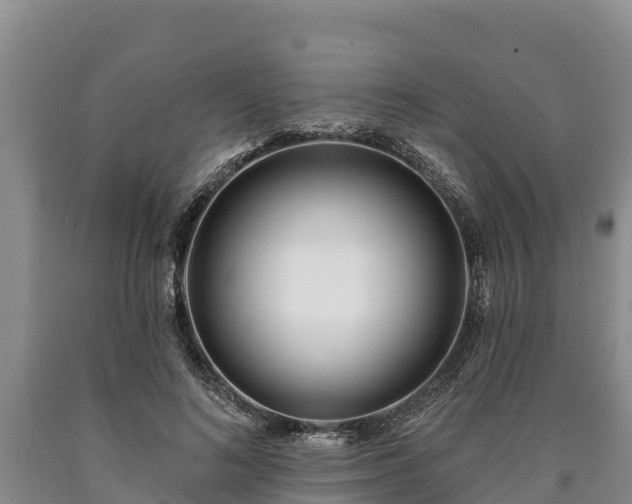 X0000090710692200707271131