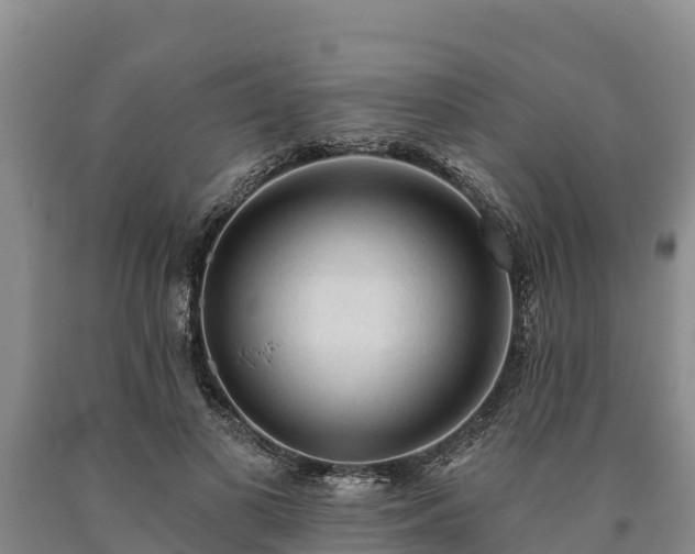 X0000090710693200707271131