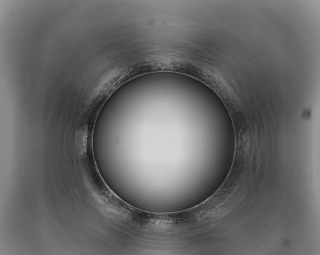 X0000090710694200707271131