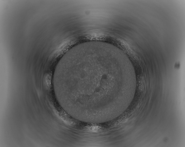 X0000090710695200707271131