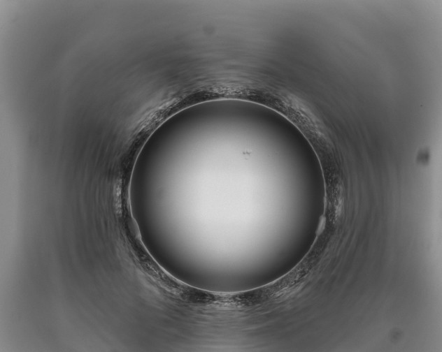 X0000090710696200707271131