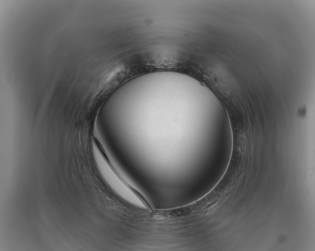 X0000090710697200707271131