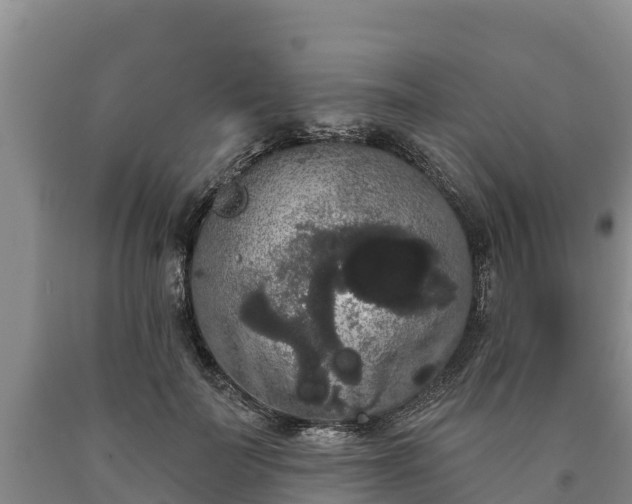 X0000090710699200707271131