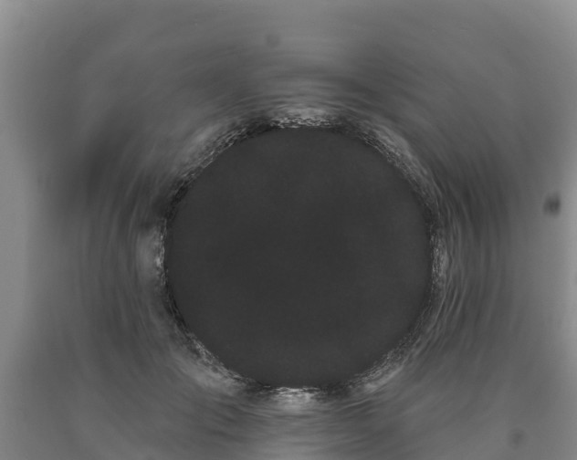 X0000090710701200707271131