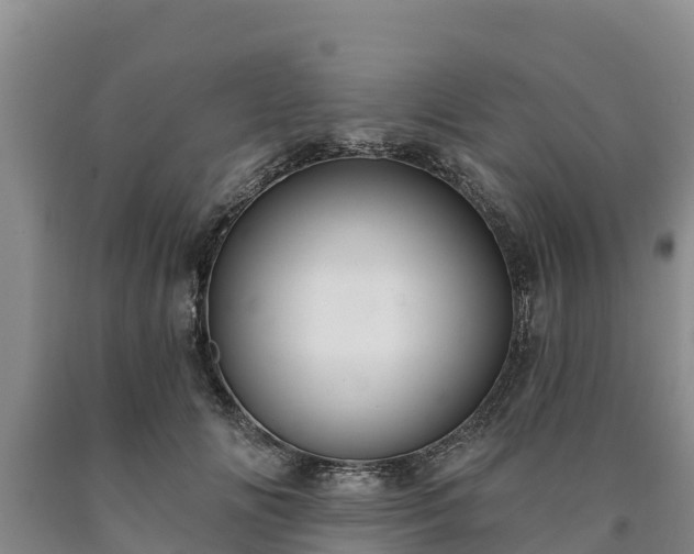 X0000090710702200707271131