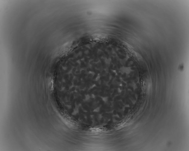 X0000090710703200707271131