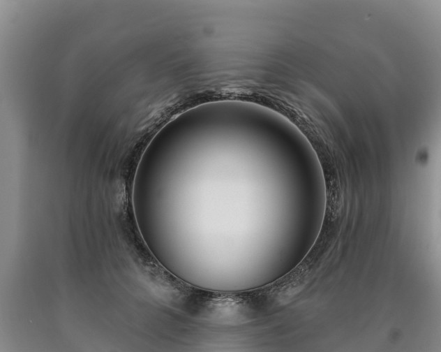 X0000090710704200707271131