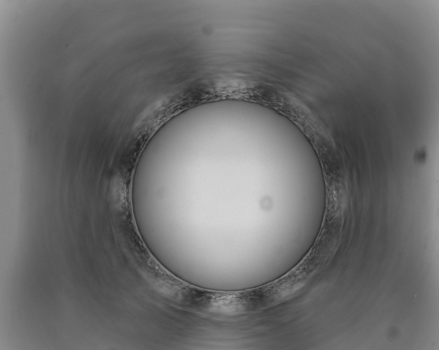 X0000090710705200707271131