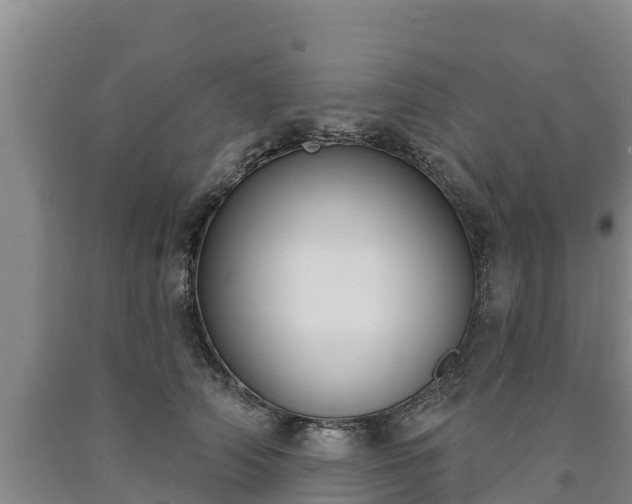 X0000090710706200707271131