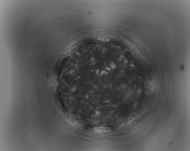 X0000090710707200707271131