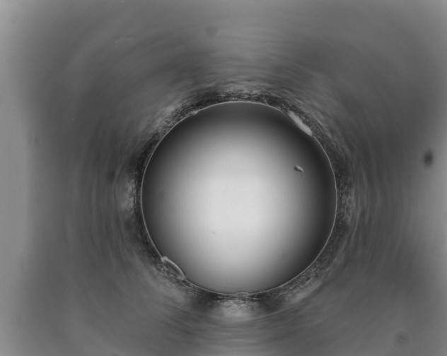 X0000090710708200707271131