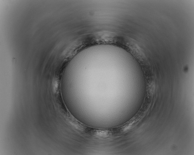 X0000090710709200707271131