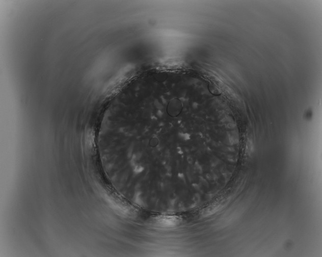 X0000090710711200707271131