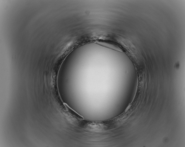 X0000090710712200707271131