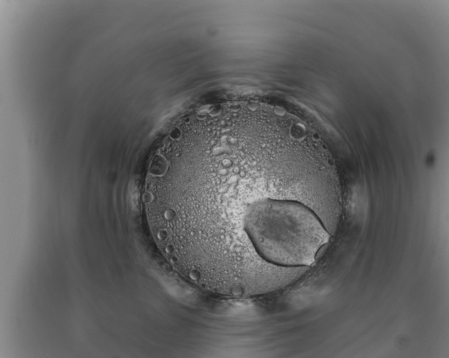 X0000090710715200707271131