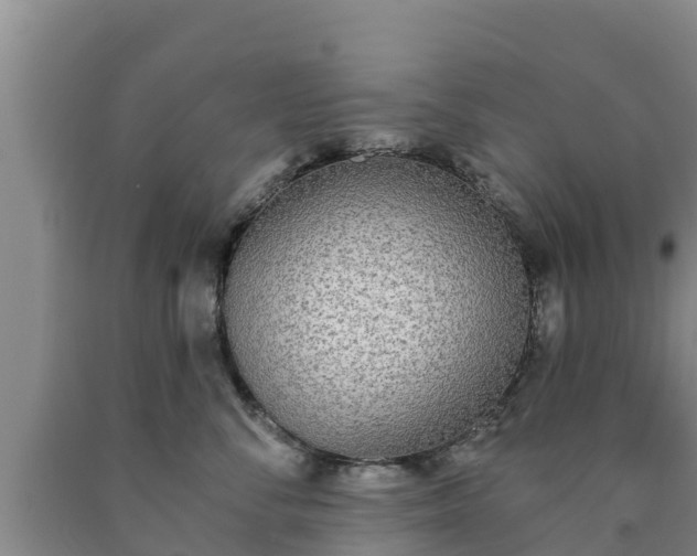 X0000090710716200707271131