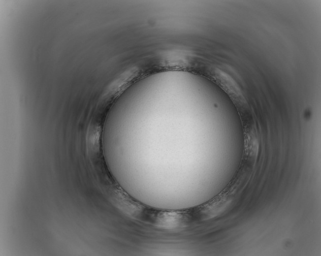 X0000090710717200707271131