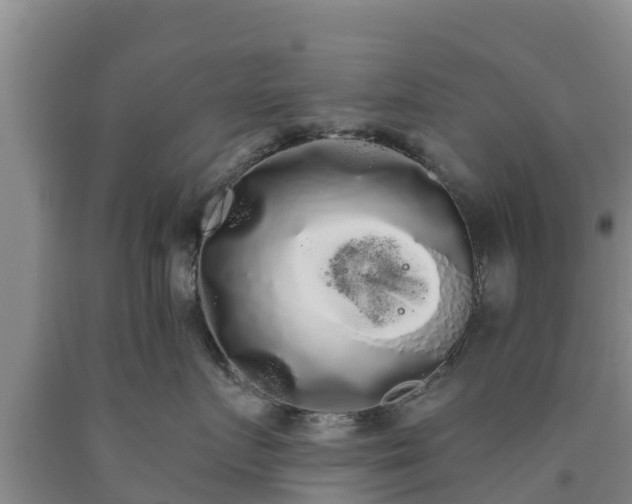 X0000090710719200707271131