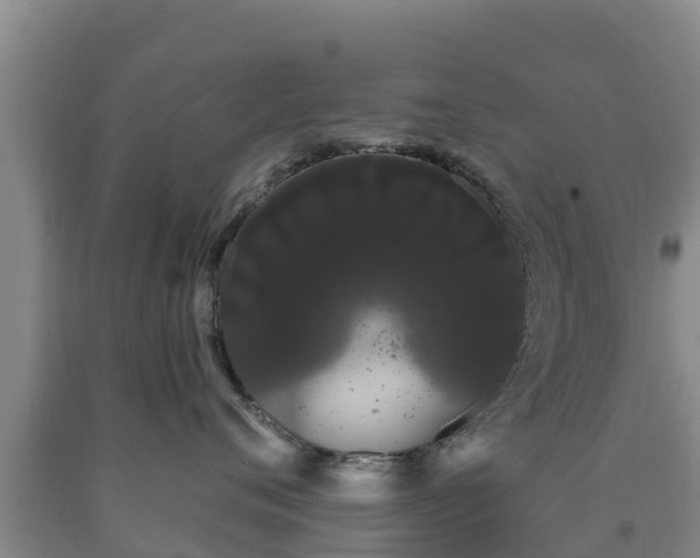 X0000090710720200707271131