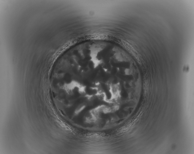 X0000090710721200707271131