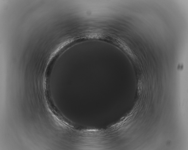 X0000090710722200707271131