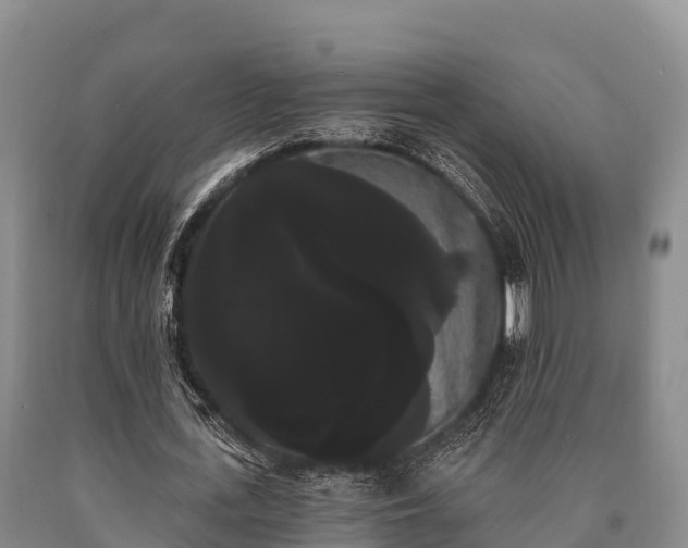 X0000090710723200707271131