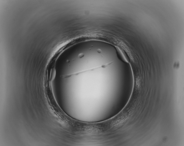 X0000090710724200707271131