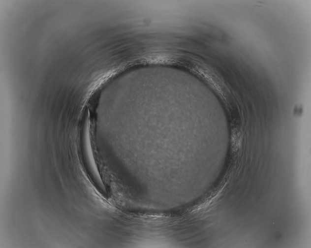 X0000090710725200707271131