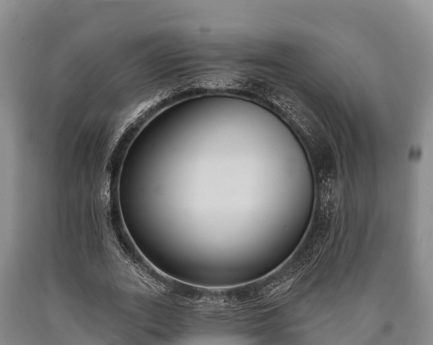 X0000090710727200707271131