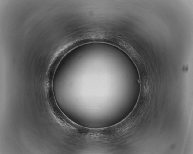 X0000090710728200707271131