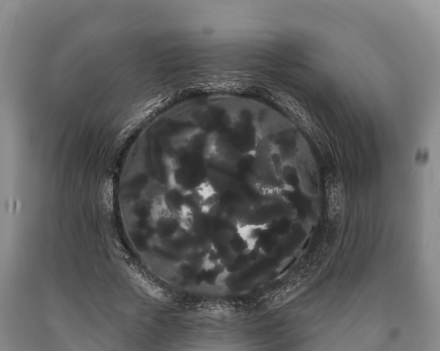 X0000090710729200707271131