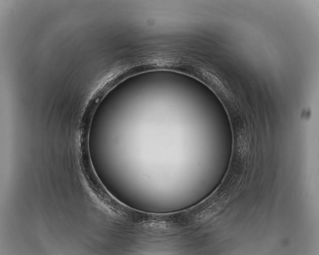 X0000090710730200707271131