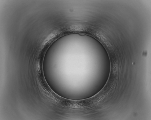 X0000090710731200707271131