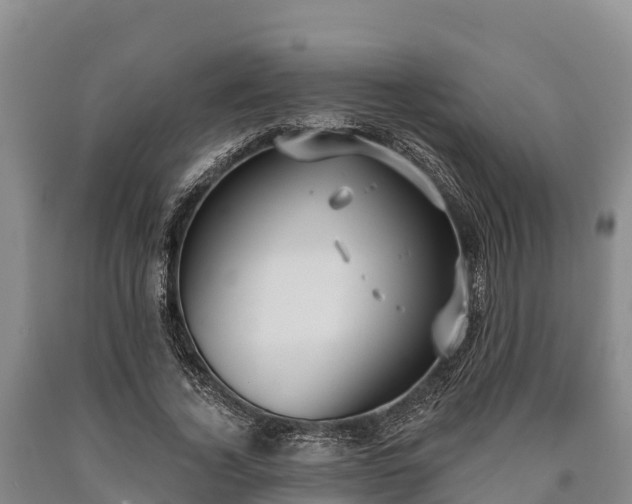 X0000090710732200707271131