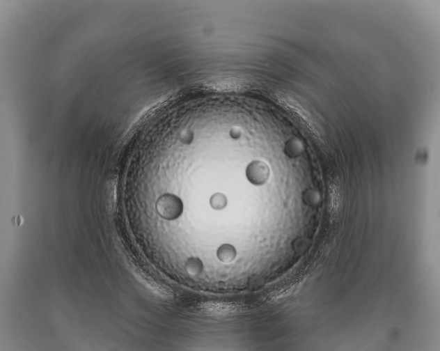 X0000090710733200707271131