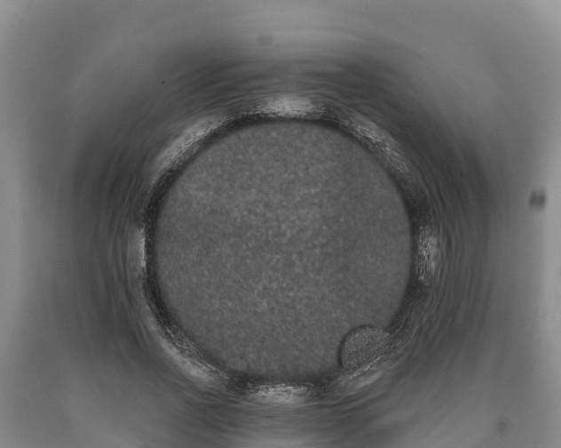 X0000090710734200707271131