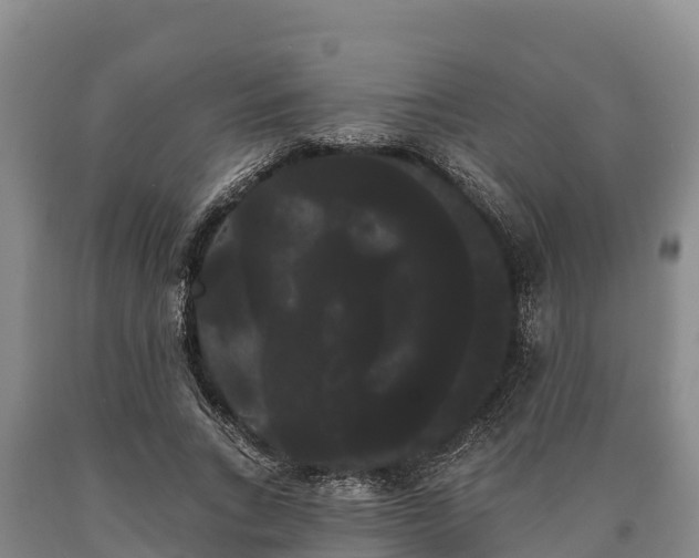 X0000090710735200707271131