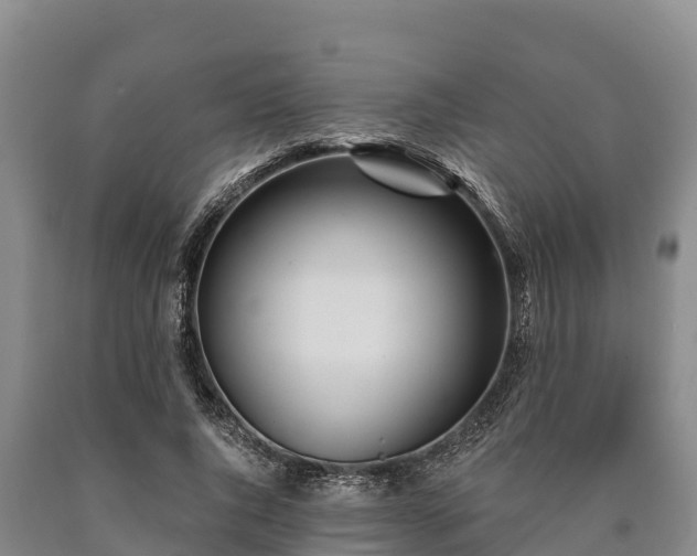 X0000090710736200707271131